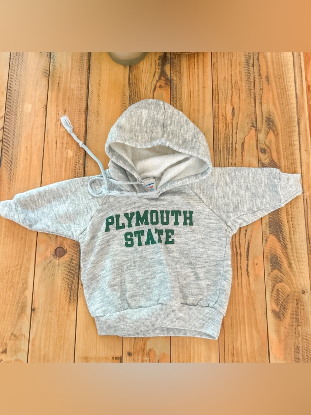Vtg Champion 90s Grey Plymouth State University Sweatshirt Hoodie Baby 6/9 Mts